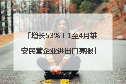 增长53%！1至4月雄安民营企业进出口亮眼