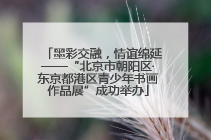 墨彩交融，情谊绵延——“北京市朝阳区·东京都港区青少年书画作品展”成功举办