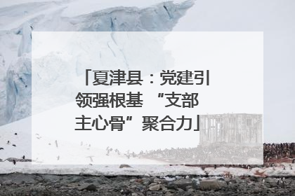 夏津县：党建引领强根基 “支部主心骨”聚合力