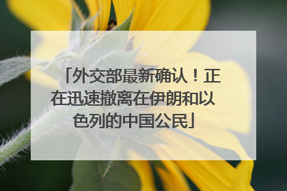 外交部最新确认！正在迅速撤离在伊朗和以色列的中国公民