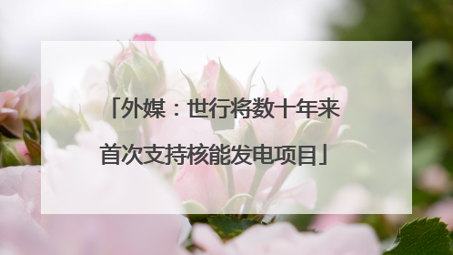 外媒：世行将数十年来首次支持核能发电项目