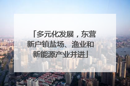 多元化发展，东营新户镇盐场、渔业和新能源产业并进
