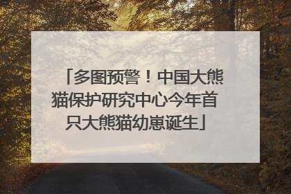 多图预警！中国大熊猫保护研究中心今年首只大熊猫幼崽诞生