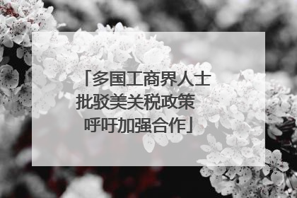 多国工商界人士批驳美关税政策 呼吁加强合作