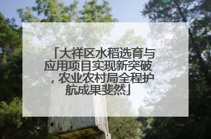 大祥区水稻选育与应用项目实现新突破，农业农村局全程护航成果斐然