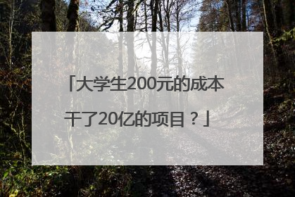 大学生200元的成本干了20亿的项目？