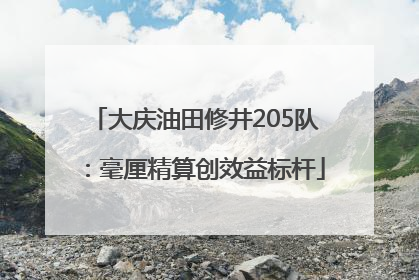 大庆油田修井205队：毫厘精算创效益标杆