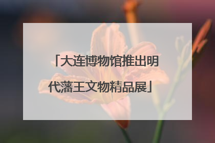 大连博物馆推出明代藩王文物精品展