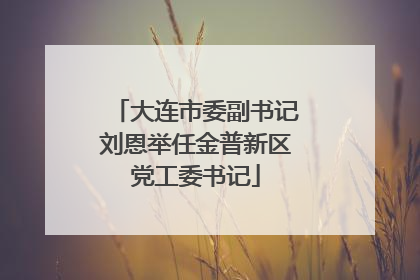 大连市委副书记刘恩举任金普新区党工委书记