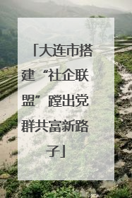 大连市搭建“社企联盟”蹚出党群共富新路子