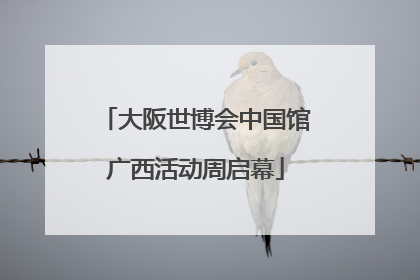 大阪世博会中国馆广西活动周启幕
