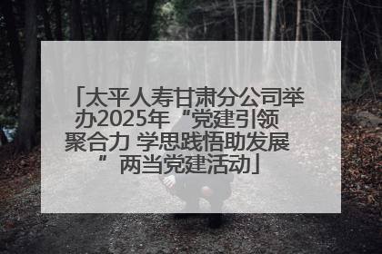 太平人寿甘肃分公司举办2025年“党建引领聚合力 学思践悟助发展”两当党建活动