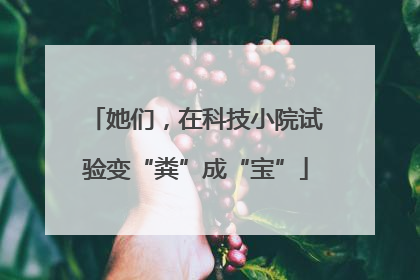 她们，在科技小院试验变“粪”成“宝”