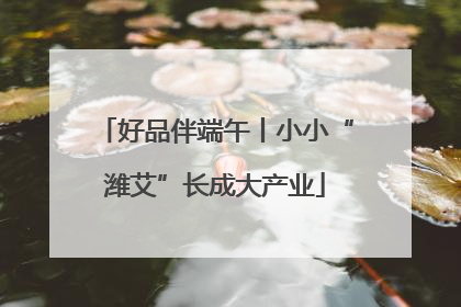 好品伴端午丨小小“潍艾”长成大产业