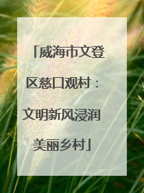 威海市文登区慈口观村：文明新风浸润美丽乡村