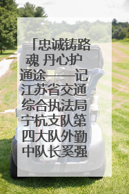 忠诚铸路魂 丹心护通途——记江苏省交通综合执法局宁杭支队第四大队外勤中队长奚强