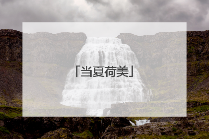 当夏荷美