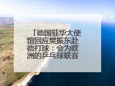 德国驻华大使馆回应樊振东赴德打球：会为欧洲的乒乓球联赛带来新的光彩
