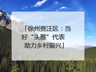 徐州贾汪区：当好“头雁”代表 助力乡村振兴