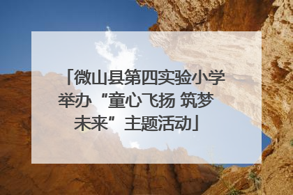 微山县第四实验小学举办“童心飞扬 筑梦未来”主题活动