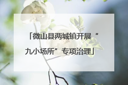 微山县两城镇开展“九小场所”专项治理