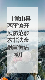 微山县西平镇开展防范涉农非法金融宣传活动
