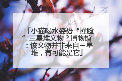 小猫喝水姿势“撞脸”三星堆文物？博物馆：该文物并非来自三星堆，有可能是它