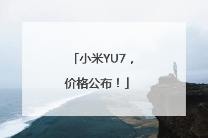 小米YU7，价格公布！