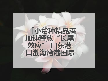 小货种精品港加速释放“长尾效应” 山东港口渤海湾港国际件杂货运业务
