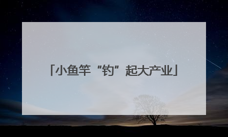 小鱼竿“钓”起大产业