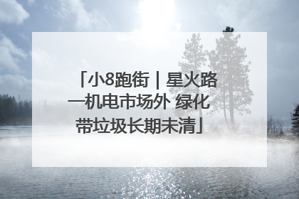 小8跑街｜星火路一机电市场外 绿化带垃圾长期未清