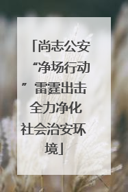 尚志公安“净场行动”雷霆出击 全力净化社会治安环境