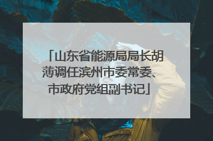 山东省能源局局长胡薄调任滨州市委常委、市政府党组副书记