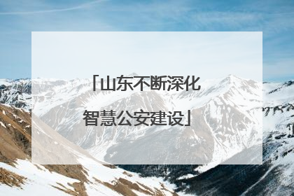 山东不断深化智慧公安建设