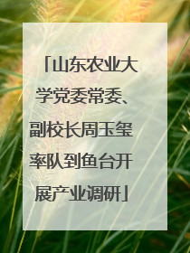 山东农业大学党委常委、副校长周玉玺率队到鱼台开展产业调研