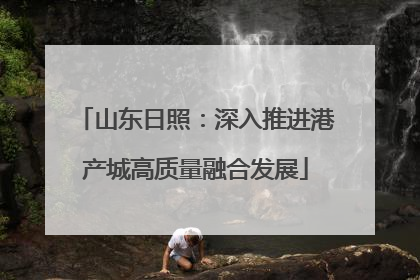 山东日照：深入推进港产城高质量融合发展