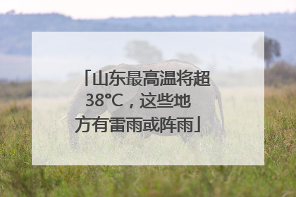 山东最高温将超38°C，这些地方有雷雨或阵雨