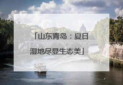 山东青岛：夏日湿地尽显生态美