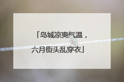 岛城凉爽气温，六月街头乱穿衣
