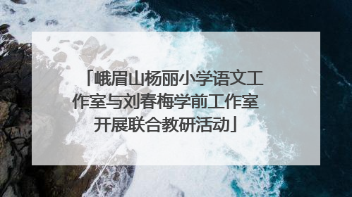 峨眉山杨丽小学语文工作室与刘春梅学前工作室开展联合教研活动