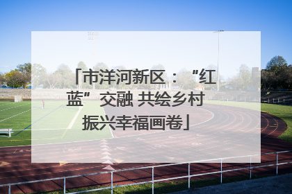 市洋河新区：“红蓝”交融 共绘乡村振兴幸福画卷