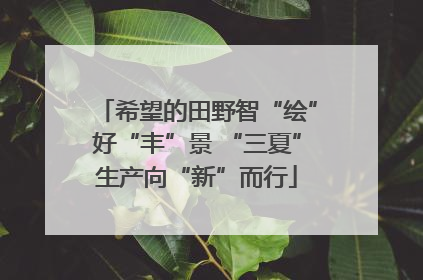 希望的田野智“绘”好“丰”景 “三夏”生产向“新”而行