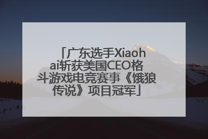 广东选手Xiaohai斩获美国CEO格斗游戏电竞赛事《饿狼传说》项目冠军