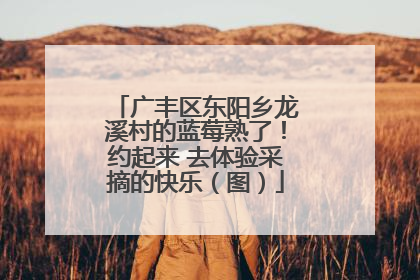 广丰区东阳乡龙溪村的蓝莓熟了！约起来 去体验采摘的快乐（图）