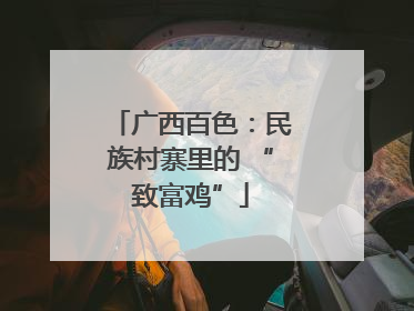 广西百色：民族村寨里的 “致富鸡”