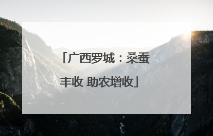 广西罗城：桑蚕丰收 助农增收