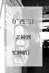 广西三江：芒种到 忙种稻