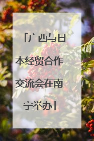 广西与日本经贸合作交流会在南宁举办