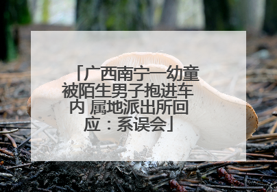 广西南宁一幼童被陌生男子抱进车内 属地派出所回应：系误会