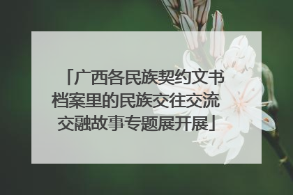 广西各民族契约文书档案里的民族交往交流交融故事专题展开展